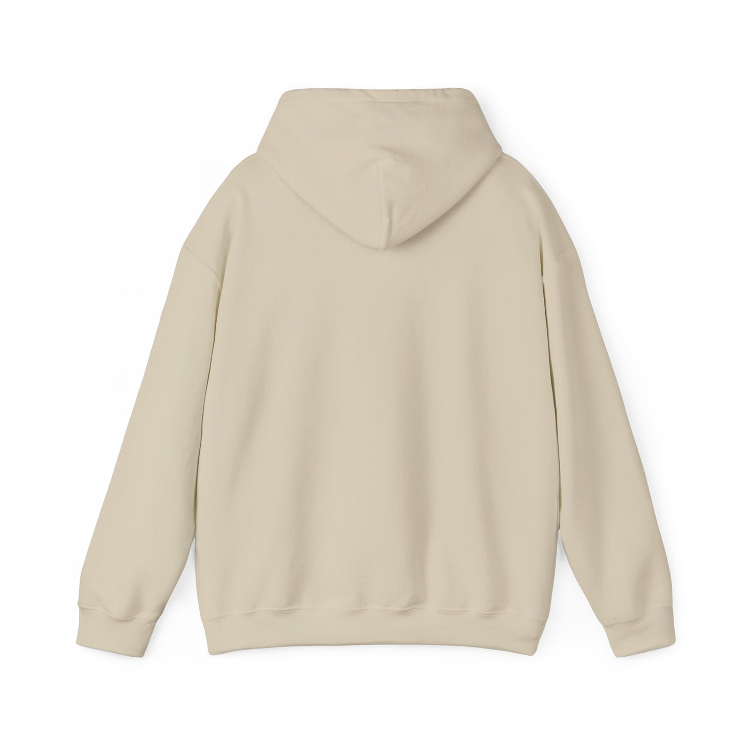 Hooded Sweatshirt Southern Charm with a Dash of Petty