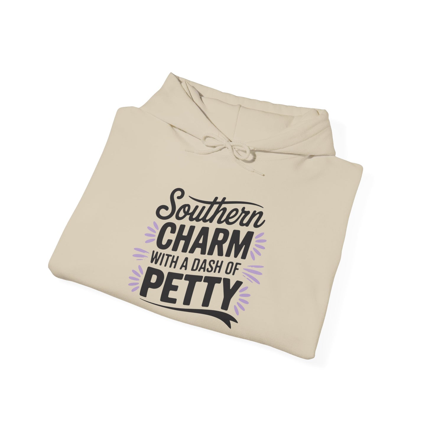 Hooded Sweatshirt Southern Charm with a Dash of Petty
