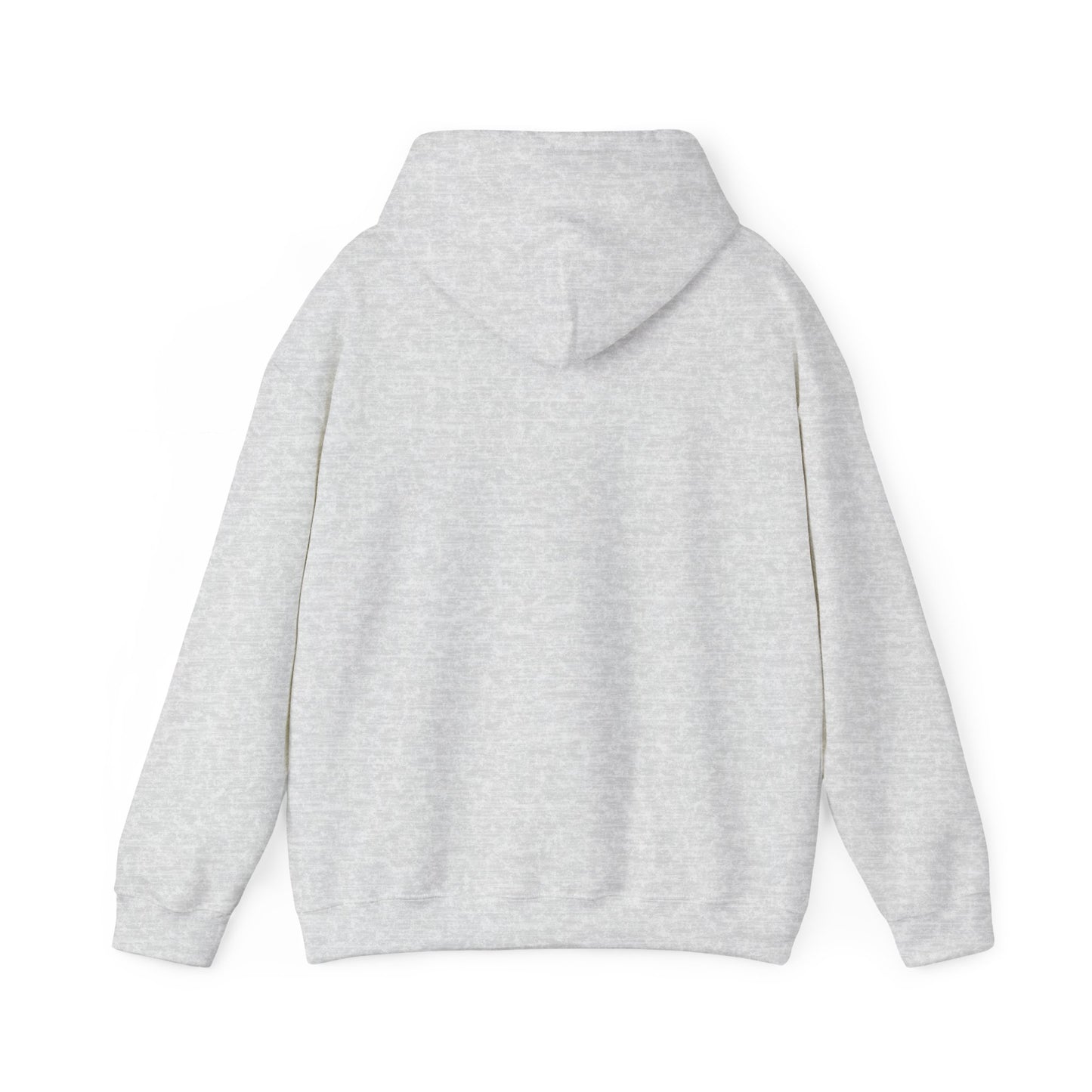 Hooded Sweatshirt Southern Charm with a Dash of Petty