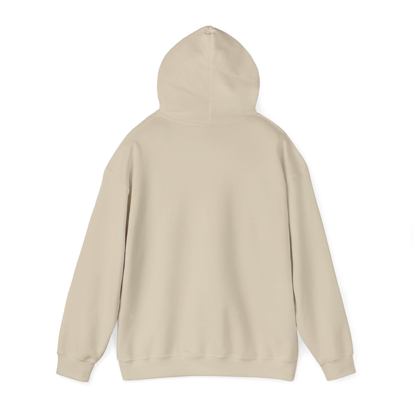 Hooded Sweatshirt Southern Charm with a Dash of Petty