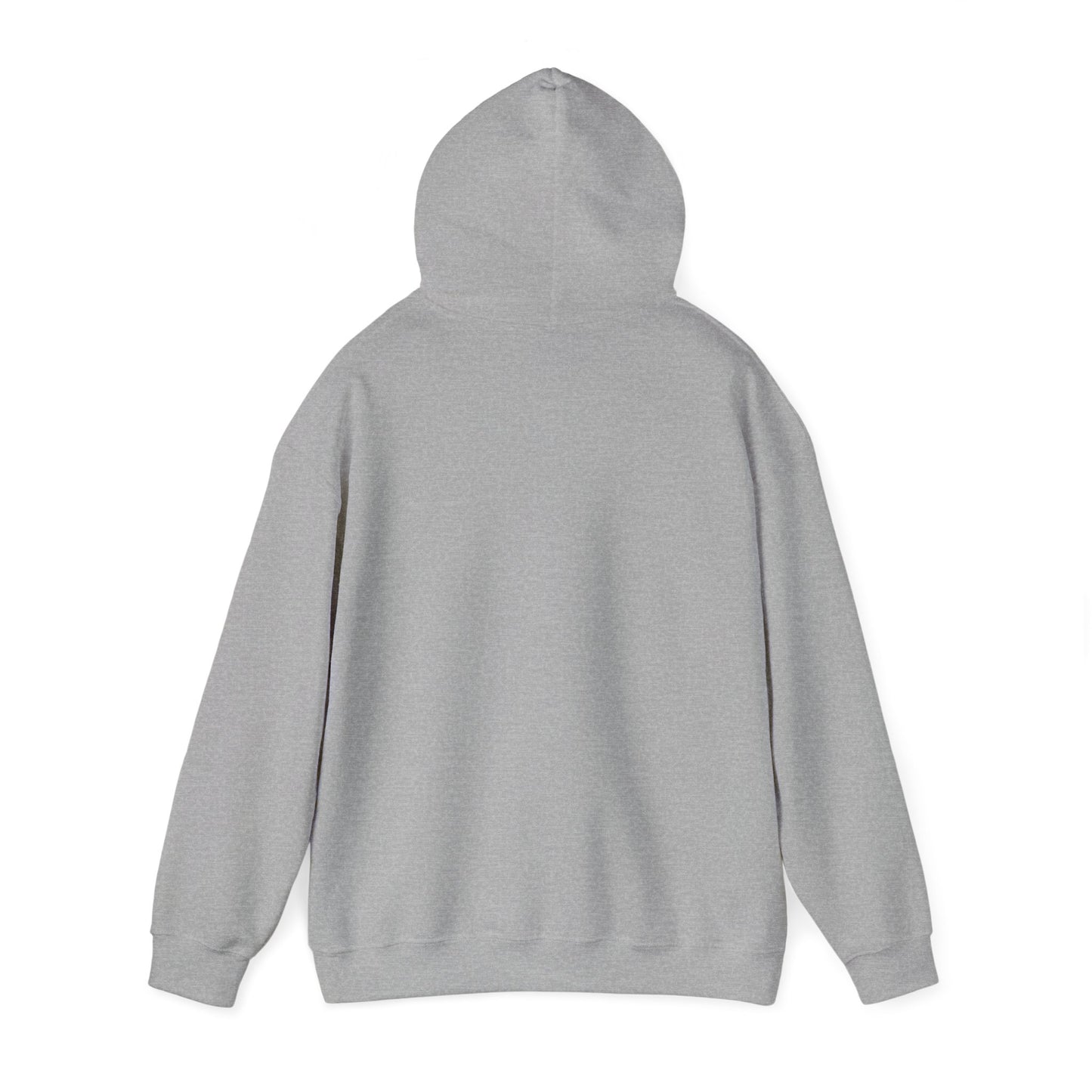 Hooded Sweatshirt Southern Charm with a Dash of Petty