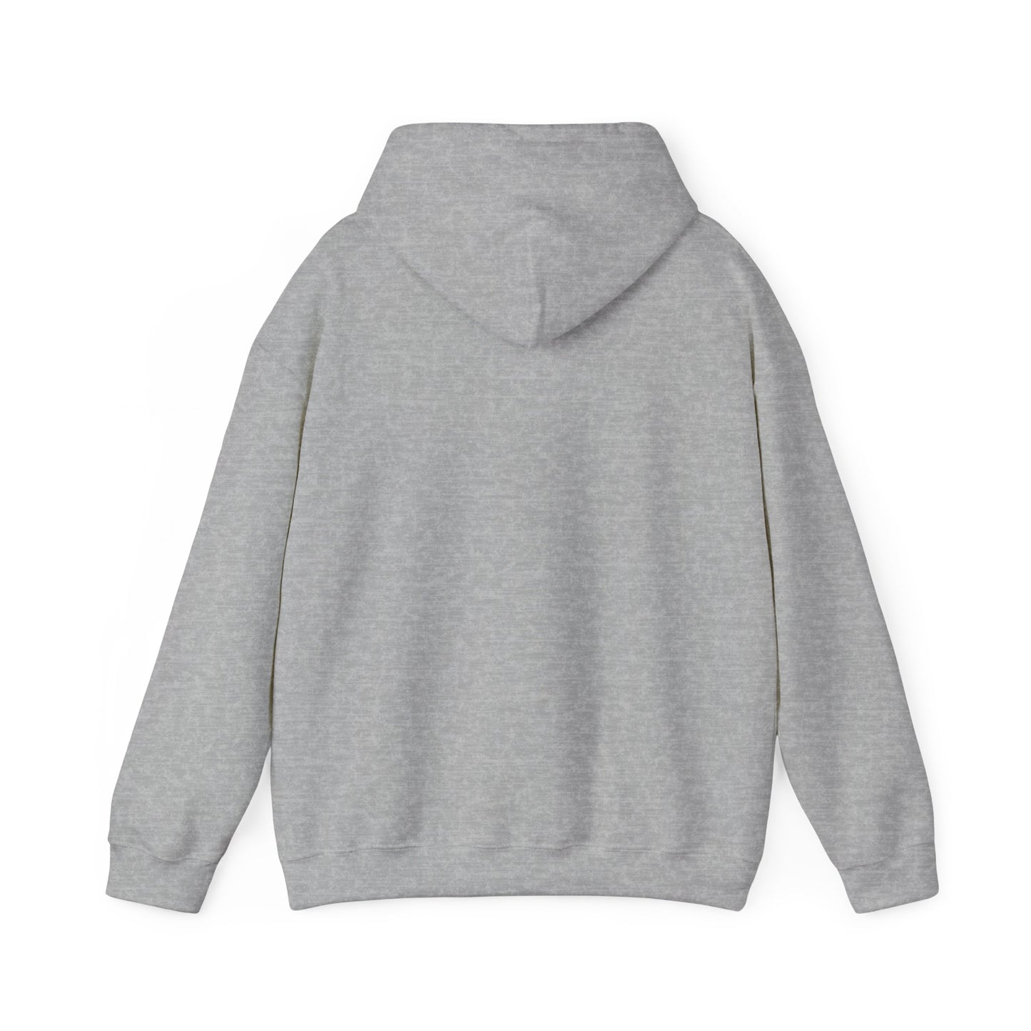 Hooded Sweatshirt Southern Charm with a Dash of Petty