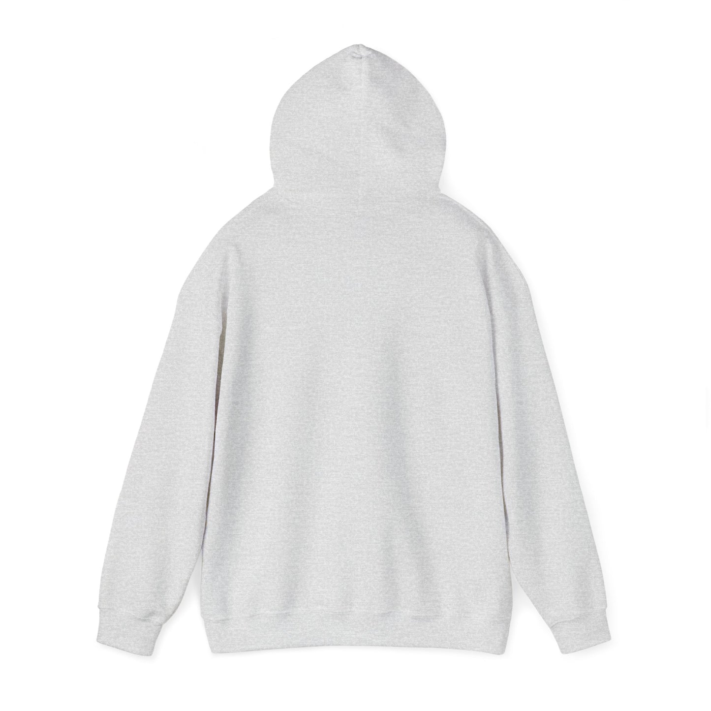 Hooded Sweatshirt Southern Charm with a Dash of Petty